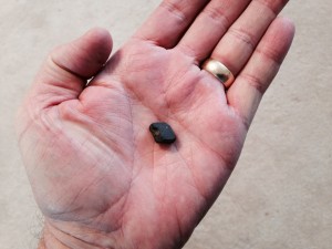 Pebble from Jovie